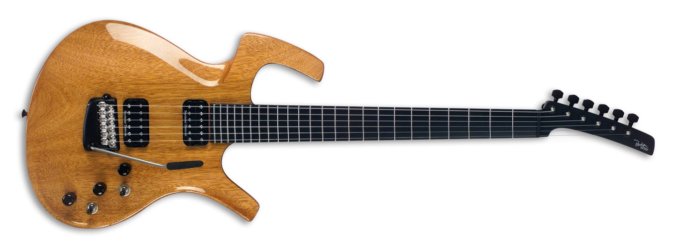 Parker Fly Guitar